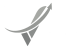 Vector Gestão